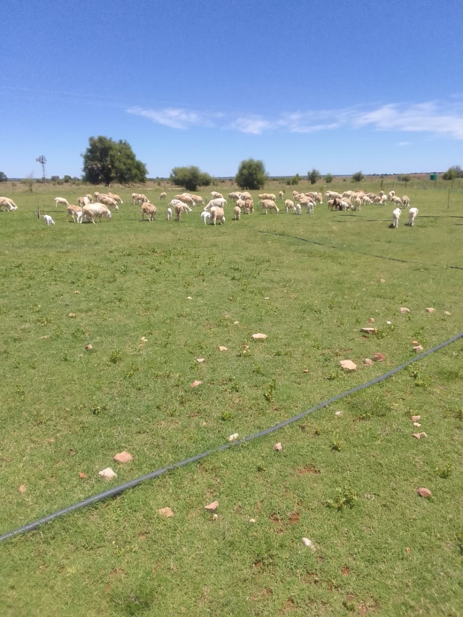 Commercial Property for Sale in Schweizer Reneke North West